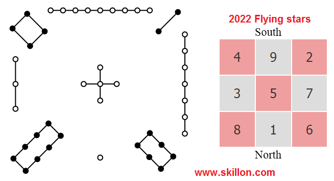 2022 RenYin Tiger year 壬寅 八字 BaZi Four Pillars of Destiny Patt Chee